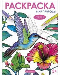 Книжка-раскраска Мир природы. Птицы