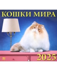 Календарь настенный на 2025 год Кошки мира