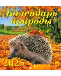 Календарь настенный на 2025 год Календарь природы