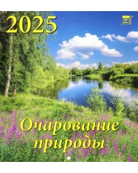 Календарь настенный на 2025 год Очарование природы