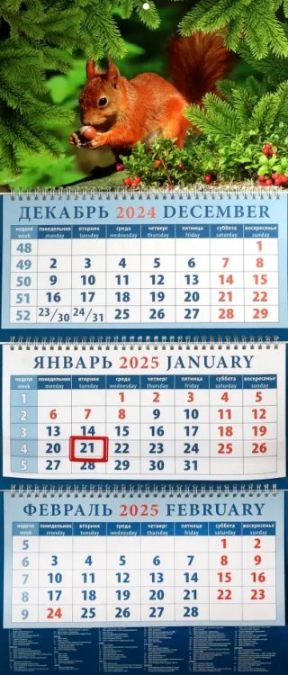 Календарь квартальный на 2025 год Белка с орехом