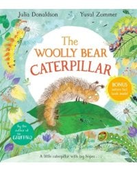 The Woolly Bear Caterpillar