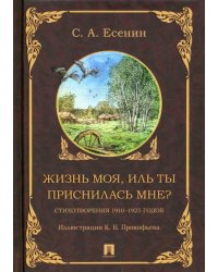 Жизнь моя, иль ты приснилась мне? Стихотворения 1910–1925 годов