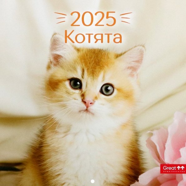 Календарь перекидной на 2025 год Котята