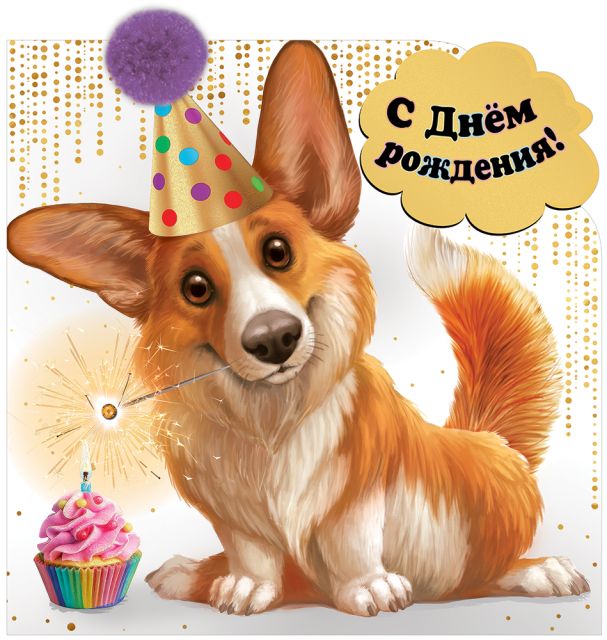 3шт открытка с днем рождения хаски с собакой