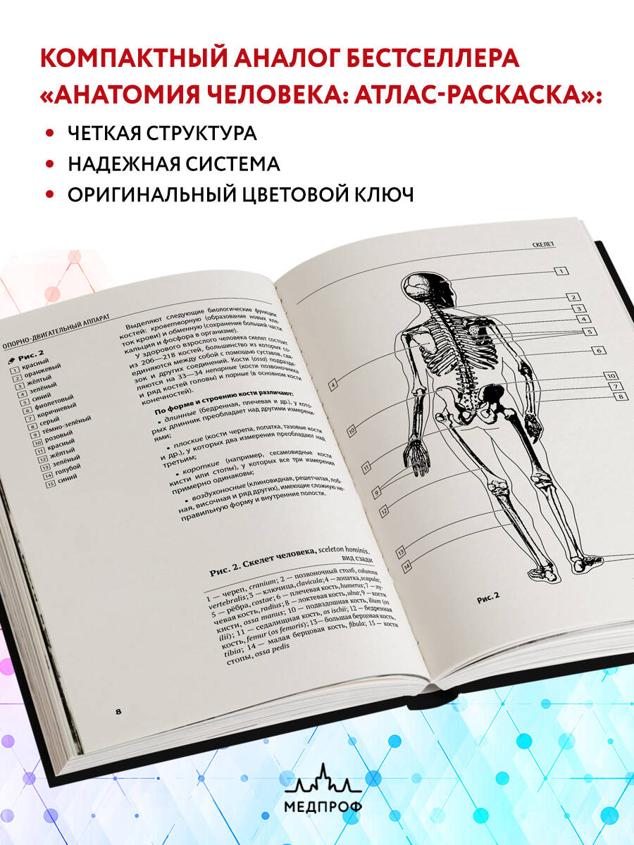 Человек с книгой в руках рисунок