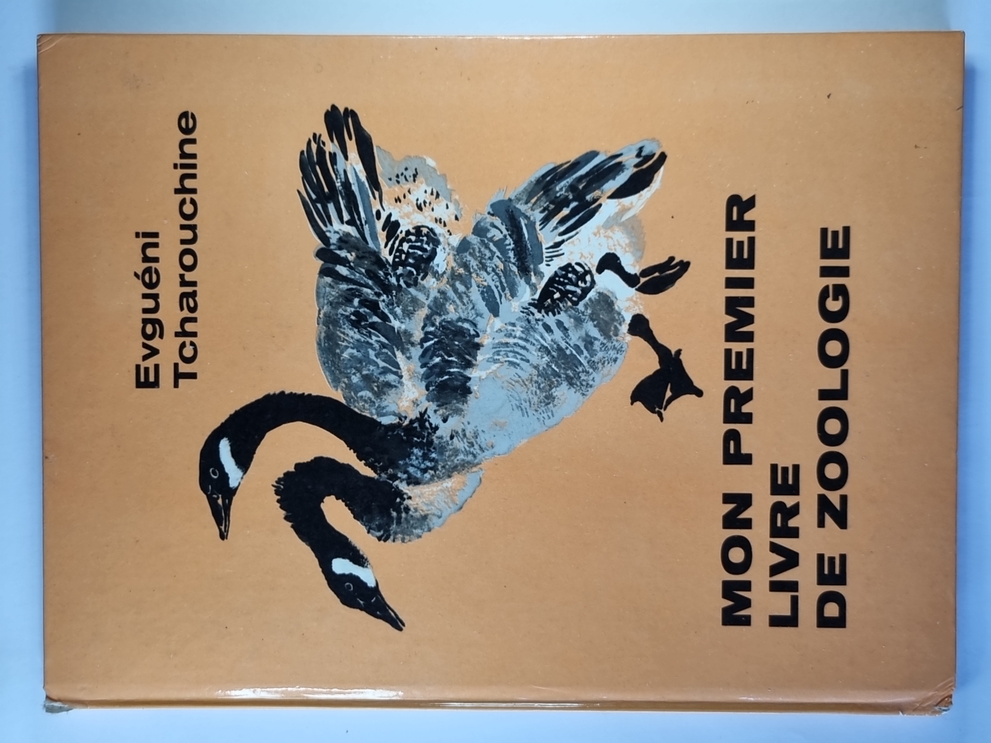 Mon Premier Livre De Zoologie