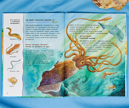 Книга «Дельфинчик и его морские соседи. Познавательные истории»