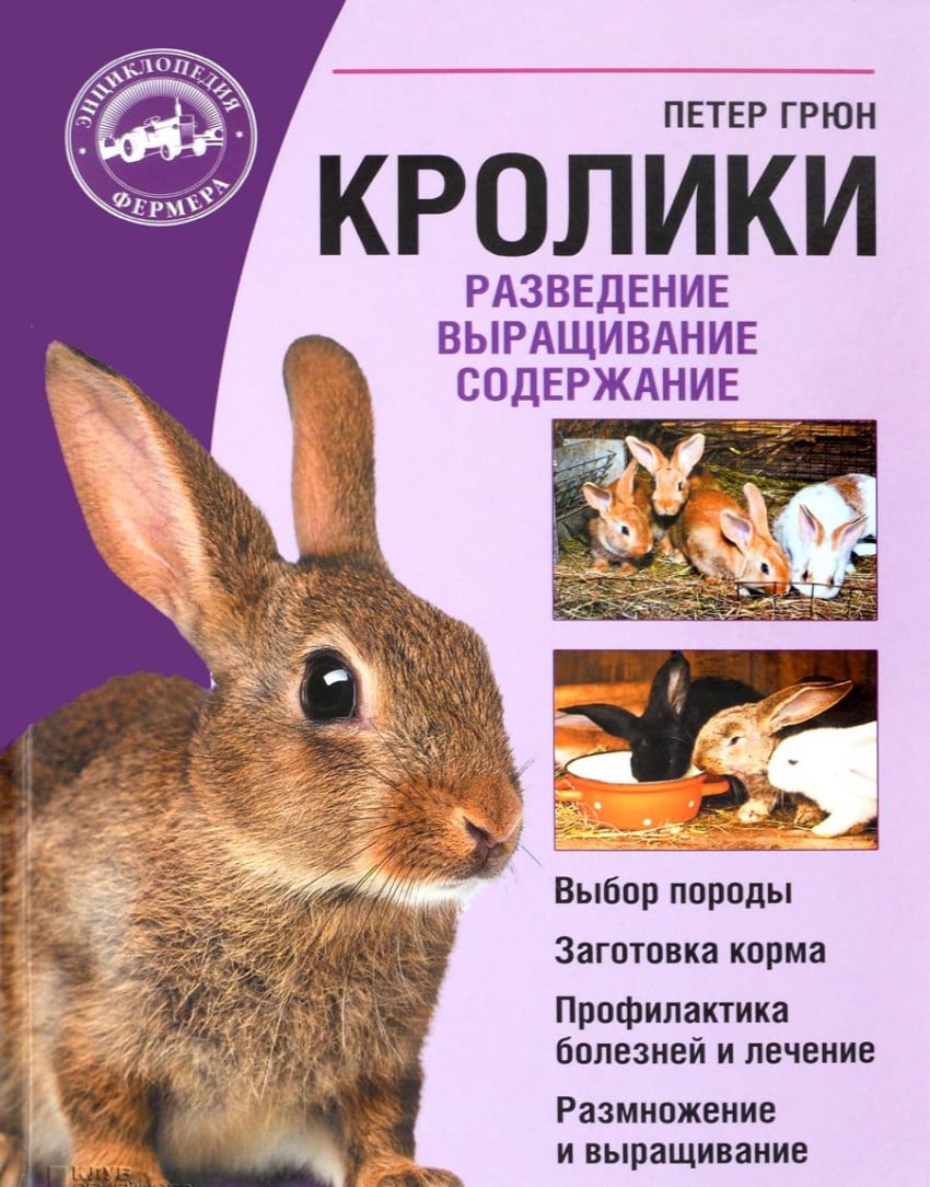 Кролики: Разведение, выращивание, кормление