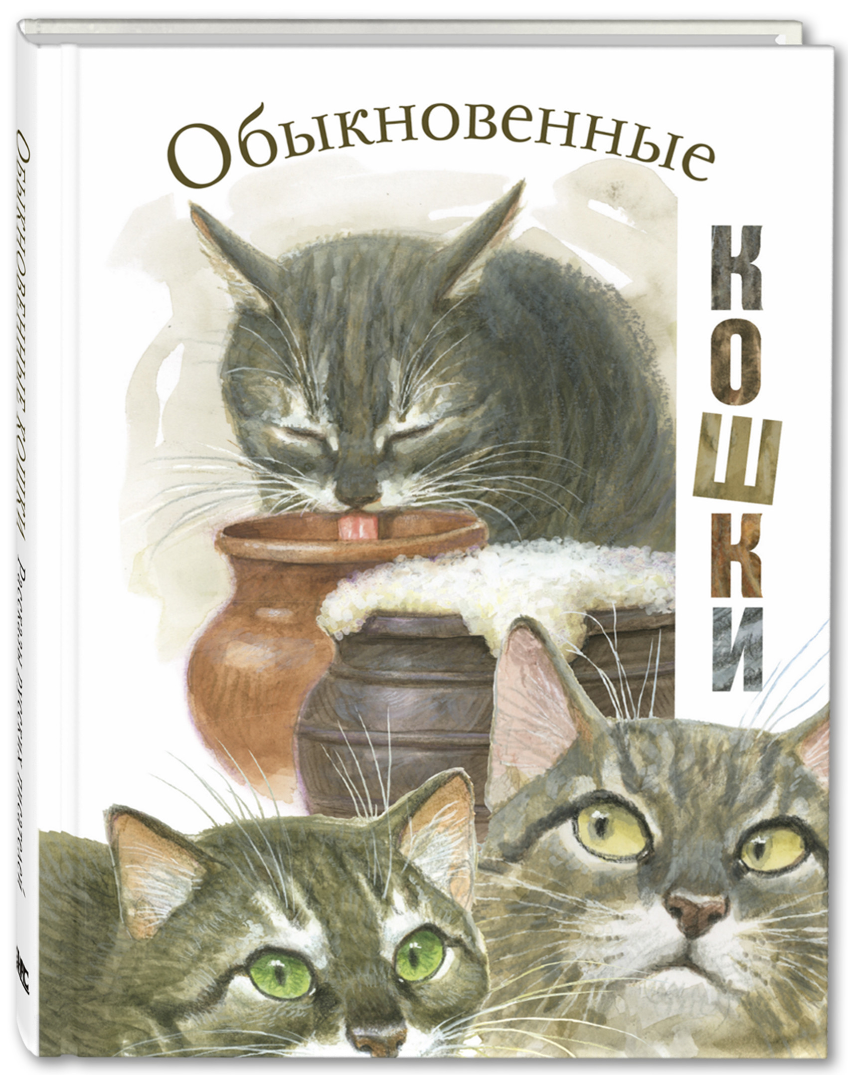 Энциклопедия кошек картинки