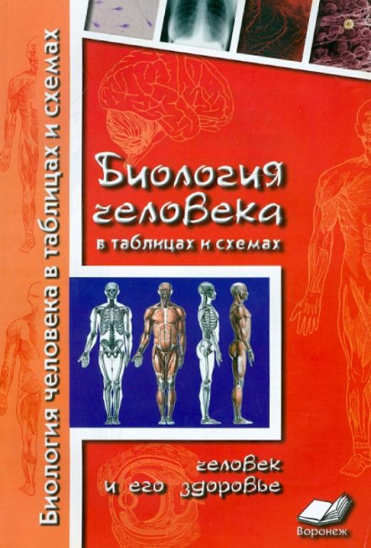 Брин в б физиология человека в схемах и таблицах