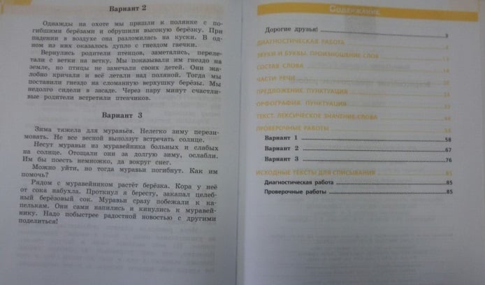 Впр русский 4 диктант. Диктант ВПР 4. ВПР по русскому языку 4 класс диктант с заданиями. ВПР 4 класс русский язык диктант. ВПР по русскому 4 класс Комиссарова.