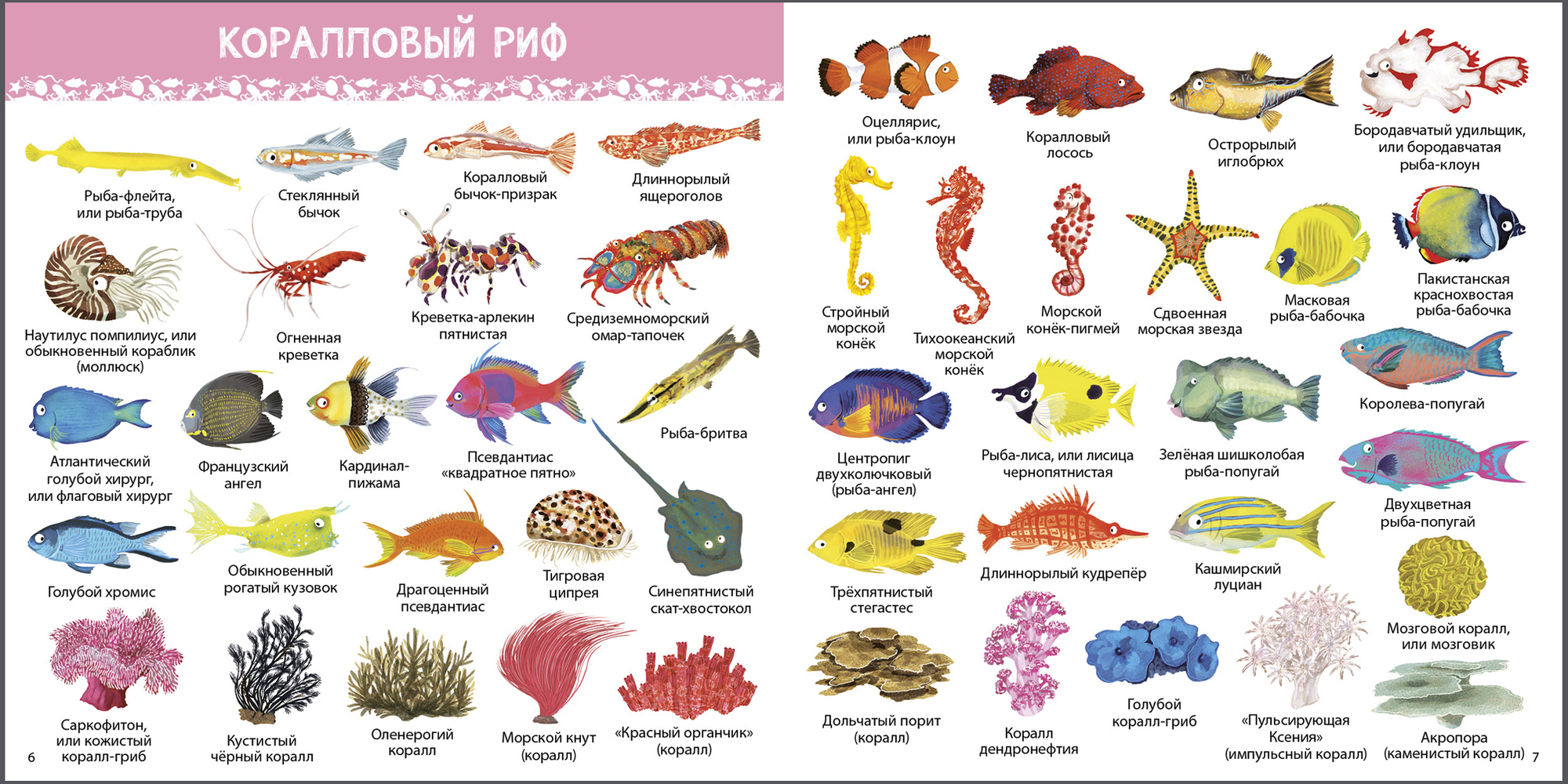 Рыбы морей и океанов картинки для детей с названиями