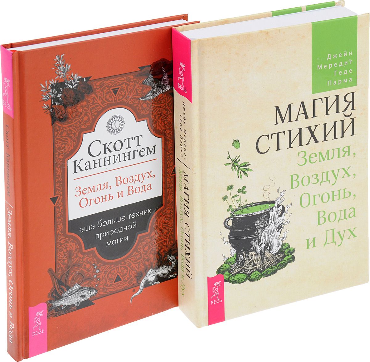 Книга стихий. Магия стихий книги. Магии стихий способности. Магия огня земли воды воздуха книга. Салливан магия стихий.