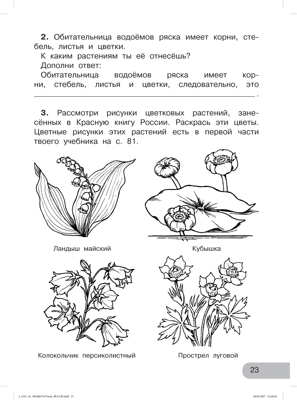 Красная книга задания для дошкольников