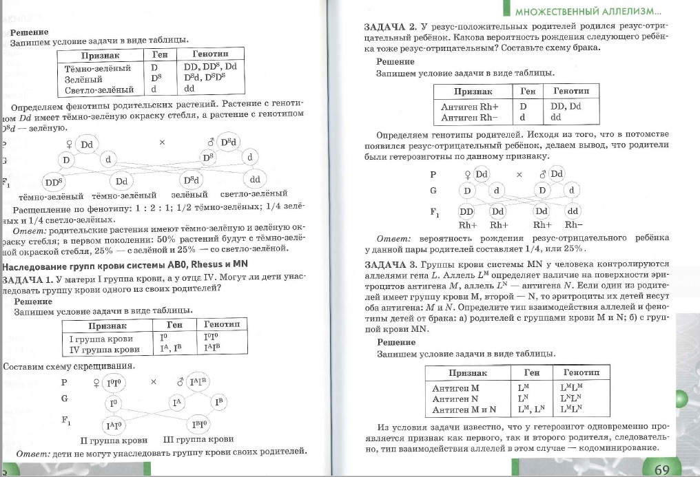Задачи по генетике егэ биология 2024. Задачи по молекулярной биологии с решениями 10 класс. Задачи по молекулярной биологии и генетике. Решение задач по молекулярной биологии 10 класс с ответами. Сборник задач по молекулярной биологии.