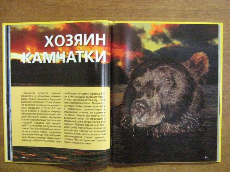 Дикий книга поганец. Дикие животные России книга. Bako книга диких животных.