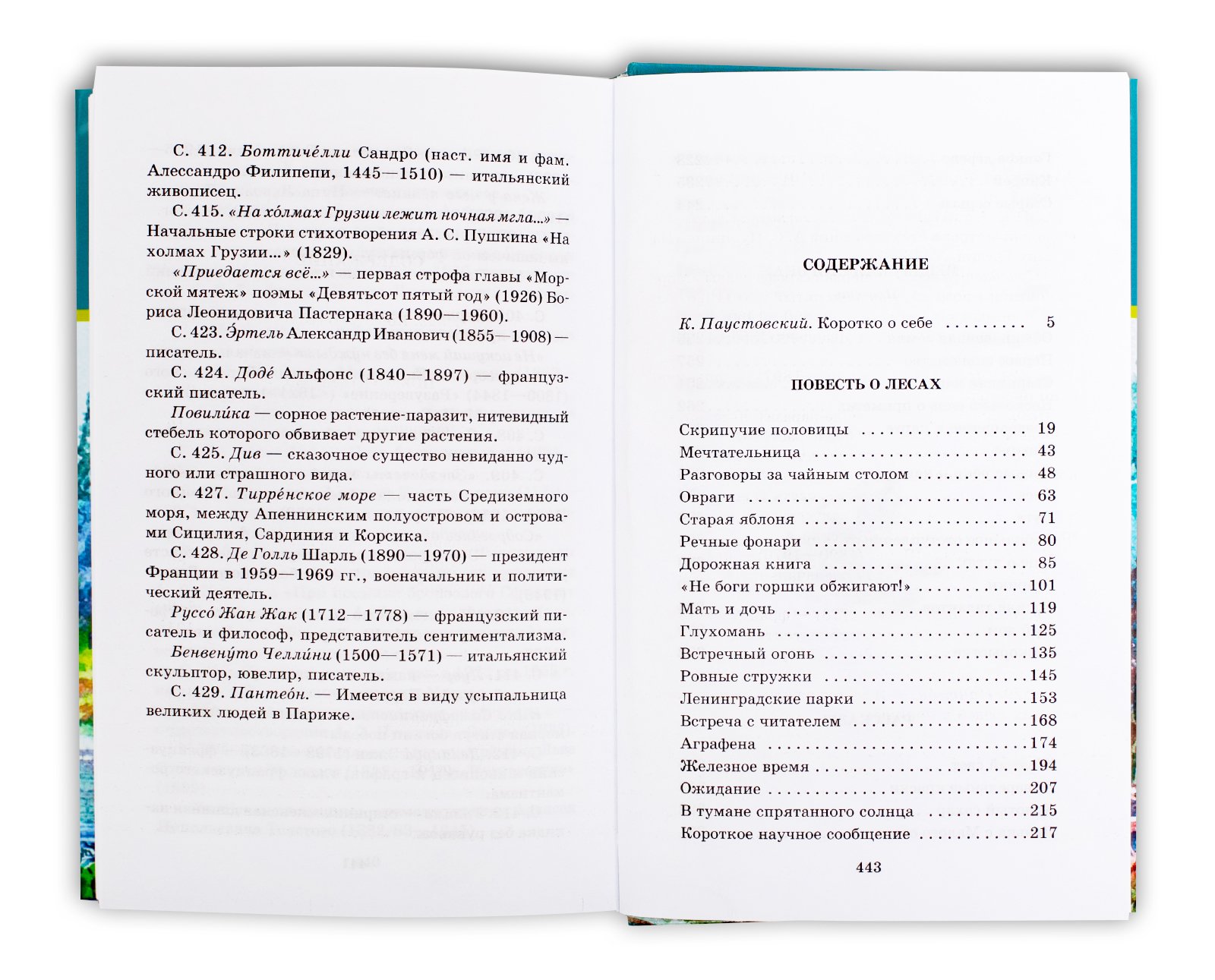 Содержание далекий. Константин Паустовский Мещерская сторона. Паустовский Мещерская сторона сколько страниц. Паустовский Мещерская сторона сколько страниц в книге. Мещерская сторона сколько страниц.