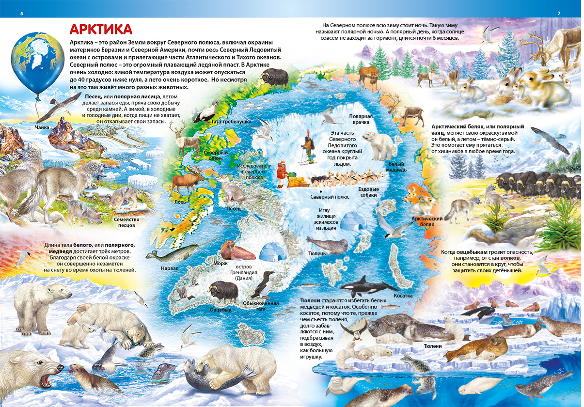Презентация животные арктики и антарктики для дошкольников