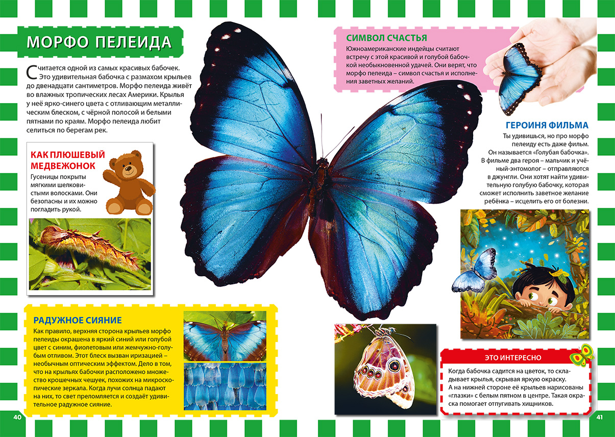 Бабочки первая энциклопедия для детей Владис