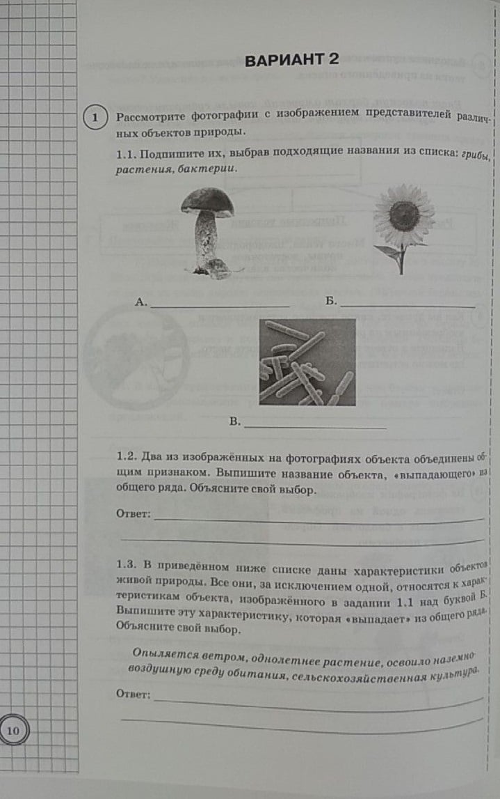 Рассмотрите фотографии с изображением представителей различных объектов природы впр ответы 5 класс