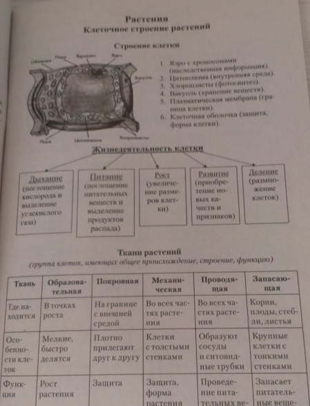 Химия и биология в таблицах и схемах