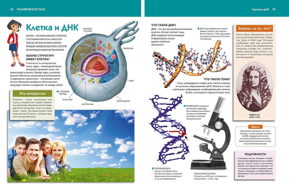 Днк дети. ДНК для детей. Интересные факты о ДНК для детей. Современная энциклопедия для младших школьников. Что такое гены для детей.